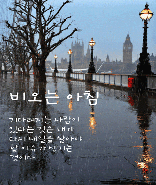 ☂️ 장마 아침