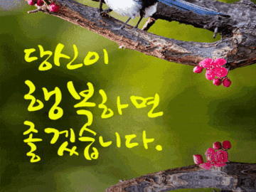 ๐ท ๋น์ ์ด ํ๋ณตํ์ผ๋ฉด ์ข๊ฒ ์ต๋๋ค