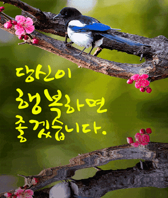 π· λΉμ μ΄ ν볡νμΌλ©΄ μ’κ² μ΅λλ€