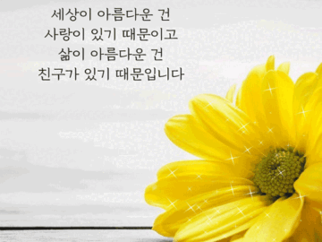 β¨ ν¨κ» κ°λ κΈΈ