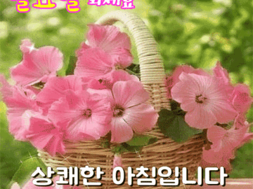 ๐ ์ถ์ ์์ํ ํ๋ณต