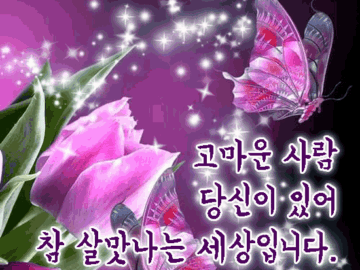 πΎ νμ΄ λμ΄ μ£Όλ μ¬λ