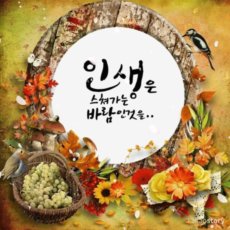 π± μΈμμ μ΄λ λ―