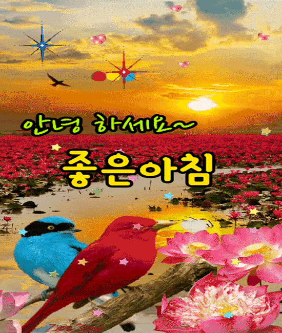 π μμΉ¨μ μκ°λλ κ²λ€