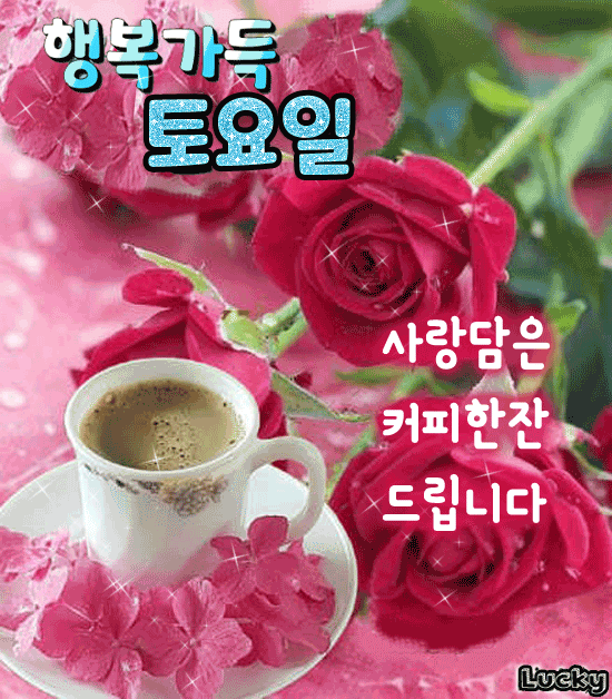 ☕ 오늘의 행복