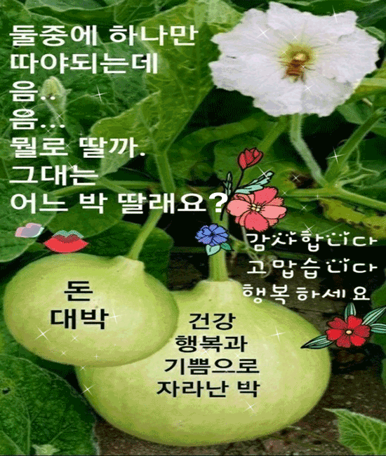 π ν볡μ λ΄λ§μμμ