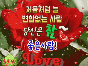 πΉ κ³ λ§μ΄ λΉμ