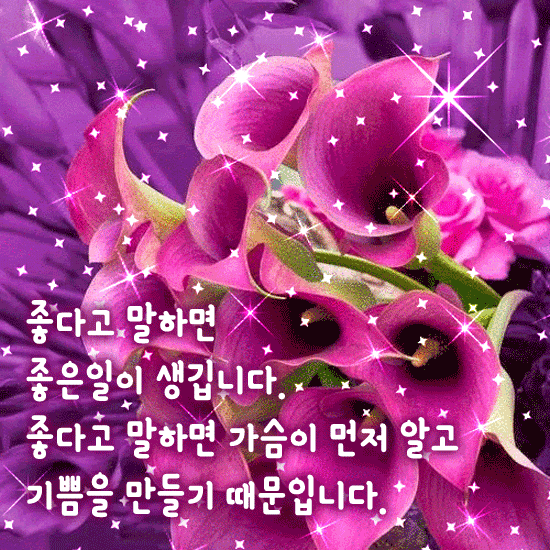 ๐บ ์ข์ ์ข์