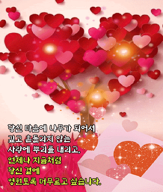 π³ λλ λΉμ μ λλ¬΄κ° λκ³ νλ΅λλ€Β