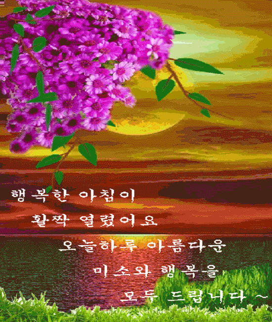 π λ΄ λμ΄ κ°μμμμΌ