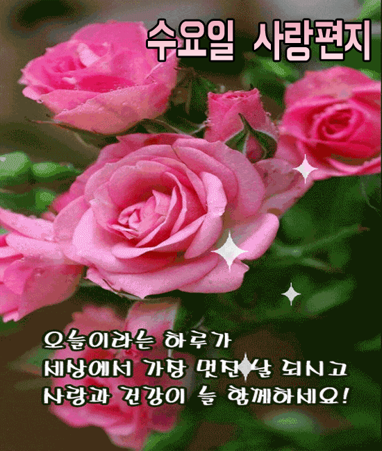 π μμμΌ Β μ¬λνΈμ§Β