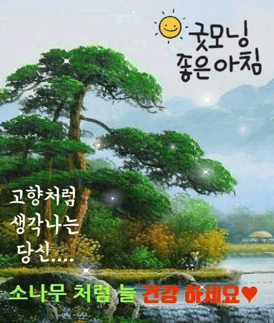 ๐ท ๋ฐ๋ก ๋น์ ์ด๋ผ๋ฉด ์ฐธ ์ข๊ฒ ์ต๋๋คย