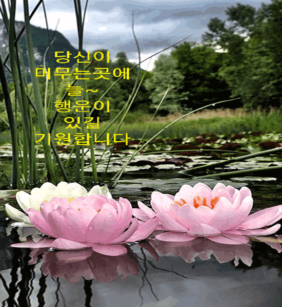 ๐ ๋ง์์ด ๋ฐ๋ปํ ์ฌ๋