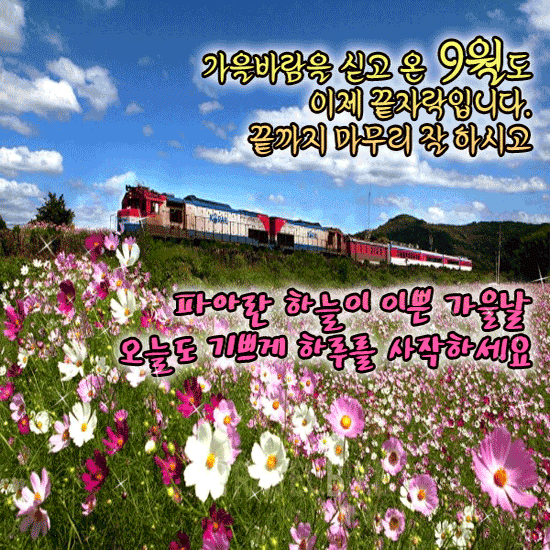 π» 9μ λ§μ§λ§ λ
Έλ