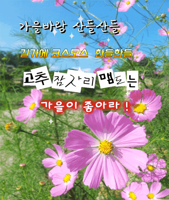 ๐ ๊ฐ์์ ๋จ ํ ๋ฒ ๋ง์ด๋ผ๋ ๋ฉ์ง๊ฒ ์ฌ๋ํ๋ผ