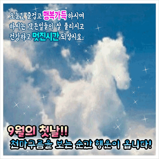 π νμ΄μ΄ κ°λν κ±°μμ