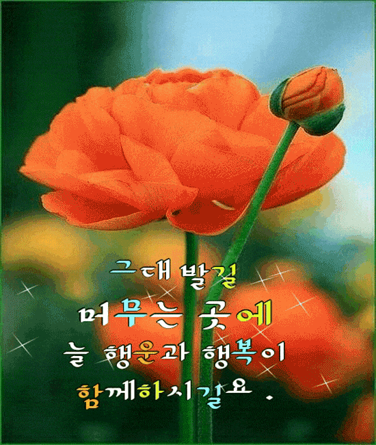 π λΉμ λΆν° λ¨Όμ ν볡νμμμ€