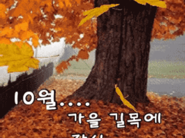 π κ°μμ΄ μ€λ κΈΈλͺ©μμ