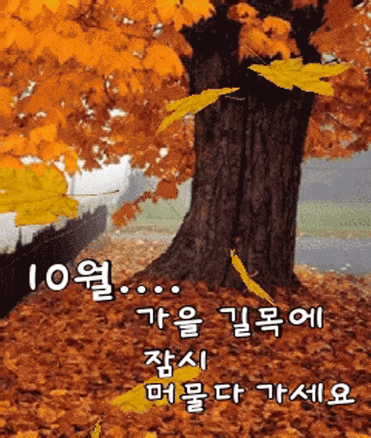 ๐ ๊ฐ์์ด ์ค๋ ๊ธธ๋ชฉ์์