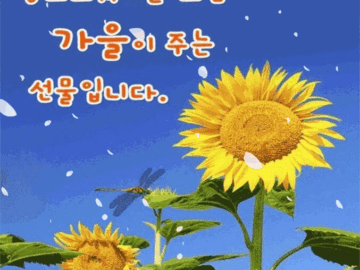 ๐ ์ค๋๋ ์ ๋ฌผ์ด ๋๋ ํ๋ฃจ