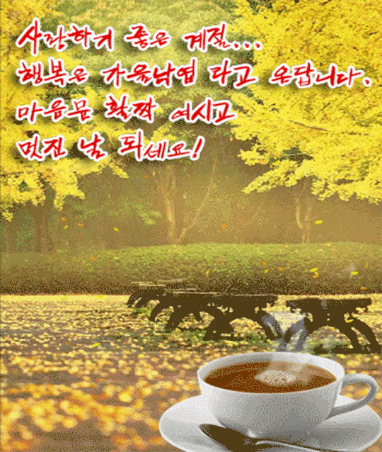 ☕ 오늘은 왠지