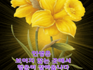 π ν볡μ λΉμ κ» λ립λλ€