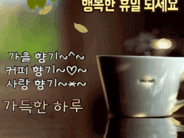 🌴 휴식 같은 하루