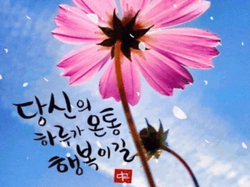 π΅ κ±±μ νμ§λ§ μ λ κ±°μΌΒ