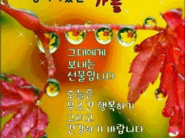 π λ κ·Έλμκ² κ³ μ΄ ν₯κΈ°κ° λ리λ