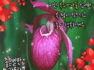 π° 3κ°μ ν볡 μ£Όλ¨Έλ