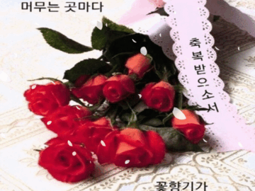 πΎ μΈμμ κΈΈλ무