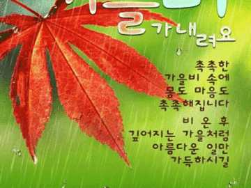 π κ°μλΉ λ΄λ¦¬λ λ