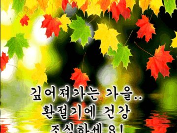 💗 사랑의 이름으로 머문다면