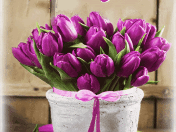 💟 사랑은 줄수록 아름답습니다