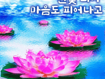 ๐บ ์ฐ๊ฝ ํผ์ด ๋ง์๋ ํผ์ด๋๊ณ