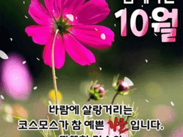 π κΉμ΄κ°λ 10μμ κΈΈλͺ©μμ μλΆλ₯Ό μ ν©λλ€Β