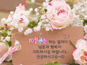 π λΉμ μκ² νμ΄μ΄ μκΈ°λ₯Ό