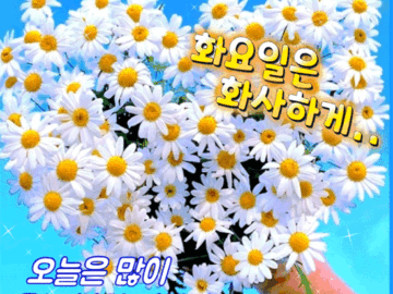 π μ€λμ λ§μ΄ μλ λ μ΄ λμκΈΈ μλ§ν©λλ€