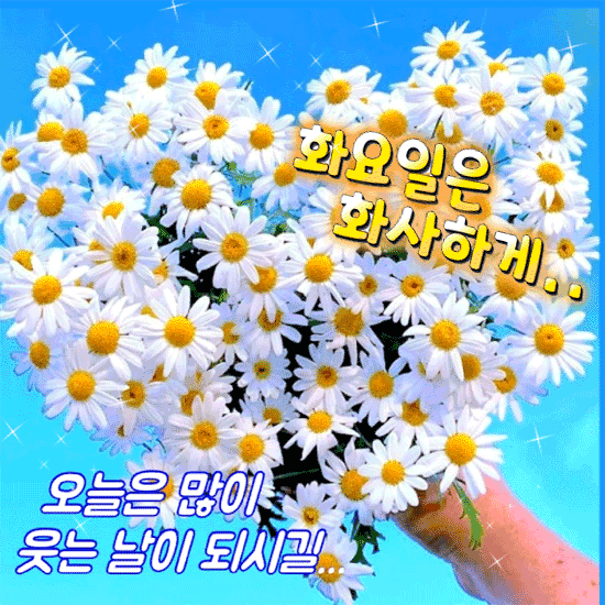 π μ€λμ λ§μ΄ μλ λ μ΄ λμκΈΈ μλ§ν©λλ€