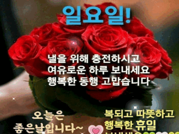 π΅ μ΄λ¬μ λμλ½Β ν΄μΌ! λ§μκ°μ§ 8κ°μ§