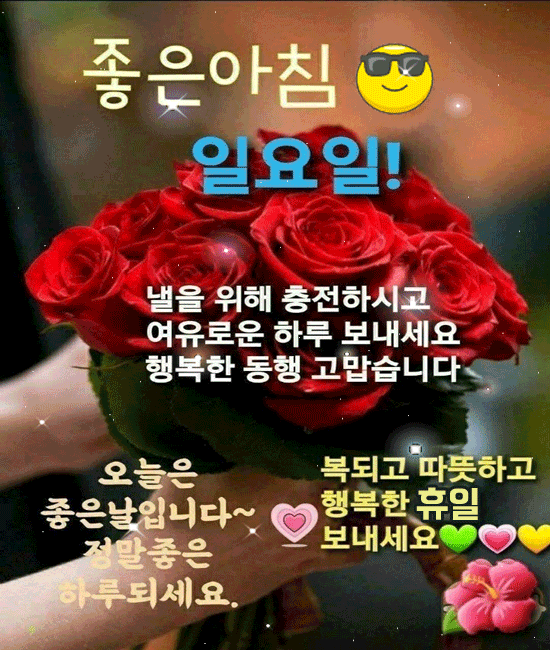 π΅ μ΄λ¬μ λμλ½Β ν΄μΌ! λ§μκ°μ§ 8κ°μ§