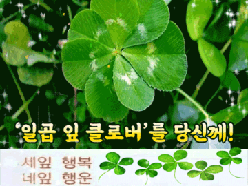 π μ²μ΄(倩ι)μ μΌκ³± μ ν΄λ‘λ²λ₯Ό λΉμ κ»!