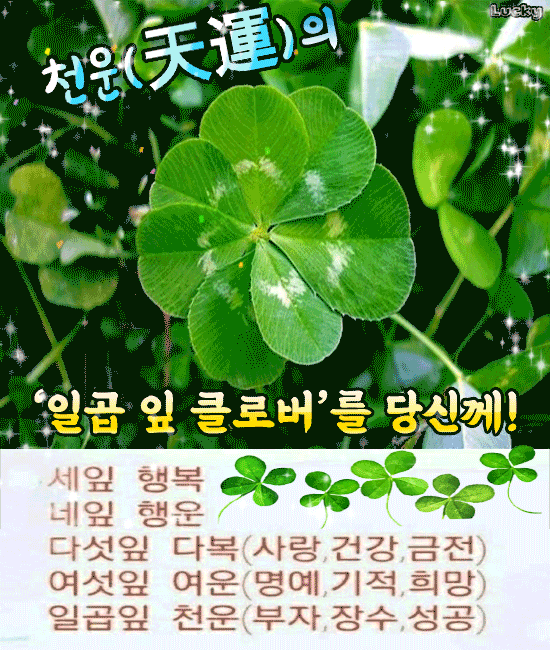 π μ²μ΄(倩ι)μ μΌκ³± μ ν΄λ‘λ²λ₯Ό λΉμ κ»!