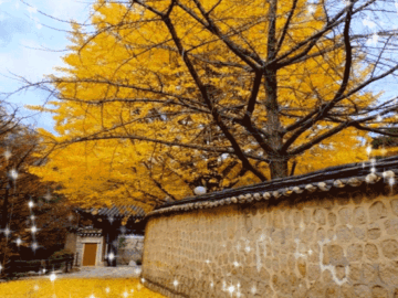 π λ΄κ° μ΄μκ°λ κΈΈμ λ§λ νμ΄