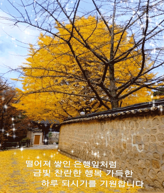 ๐ ๋ด๊ฐ ์ด์๊ฐ๋ ๊ธธ์ ๋ง๋ ํ์ด