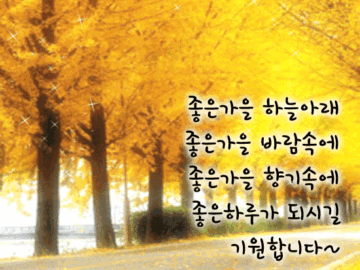 π λλ₯Ό λ§λλ¬ κ°λ κΈΈ