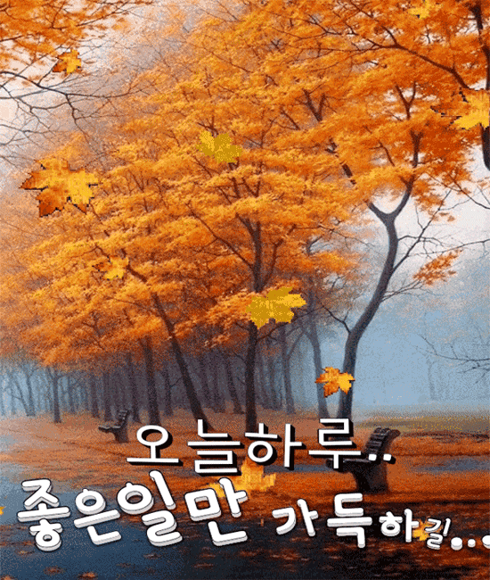 πΊ μ¬λνλ λΉμ μκ² λ리λ κΈ