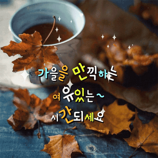 ☕ 빈잔의 자유를 보라