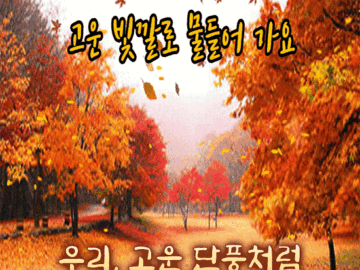 π κ³ μ΄ λΉκΉλ‘ λ¬Όλ€μ΄κ°μ