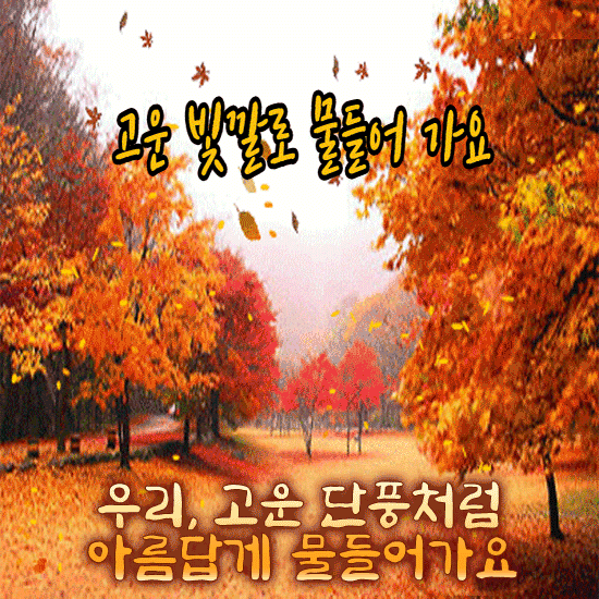 π κ³ μ΄ λΉκΉλ‘ λ¬Όλ€μ΄κ°μ